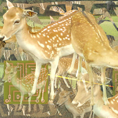 NO LIMBO FITS  ◩へ❒  Zoy Winterstein【°•ツ