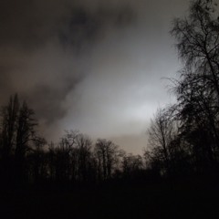 Heimatmelodien (Komp.: Anna Schauberger)