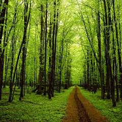 Collogne - Maximum session (Harmonik remix)