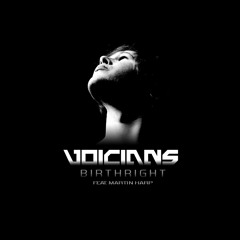 Voicians - Birthright feat. Martin Harp (Celldweller Cover)