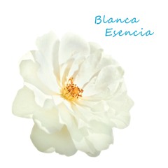 Blanca Esencia - Puertas de la Compasion