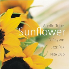 Apollo Tribe - Sunflower Lullaby ( DJRoyson Jazz Funk Nite Dub )