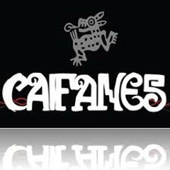 Caifanes - No dejes que (Palacio de los deportes 2011)