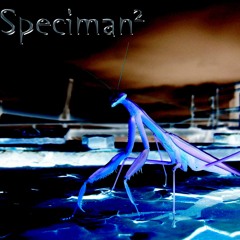 deep bush prog psytech