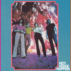 Hedgehoppers - Hey!