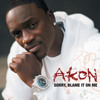 Akon Sorry For Blame It On Me Baroalusxd Remix Mp3