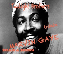 Marvin Gaye - I Want You 2009 (Twilight Bros Edit  Deep Diana Ross Tribute)