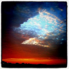 The Tressels-Wolves 01