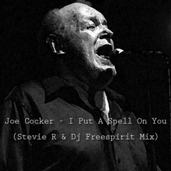Joe Cocker - I Put A Spell On You (Stevie R & Dj Freespirit Mix)