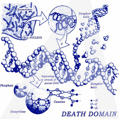 Ethidium Bromide