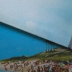 SHALLOW  accoustic version - The Baikal Paradise / Bleepmachine