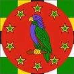 Masterflick ft riszing sun -hustle fi yur own (baby bash ft akon I am back instrumental)