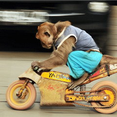 Rocket Power - Jaffo