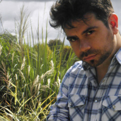 Um dia de domingo - Homenaje Gal Costa