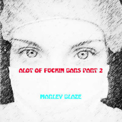 Alot Of Fuckin Bars Part 2-Marley Blaze