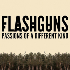 Flashguns - The Beginning