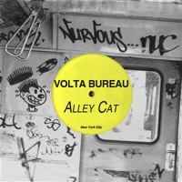 Volta Bureau - Alley Cat