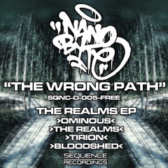 Nanobyte-The Wrong Path-SQNC-D-005-FREE