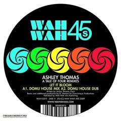 Ashley Thomas - Would You Cry  (PTH Remix)
