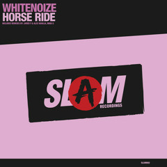 WhiteNoize - Horse Ride (Audiofunktion Remix)