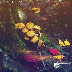SPIRAL (V.A. OPEN IT UP SACRED MEDIA RECS)