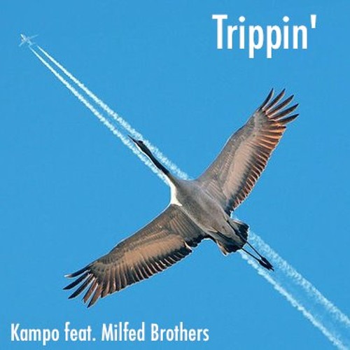 Stream Kampo & Milfed Brothers Trippin' (M.B. radio edit) by Milfed