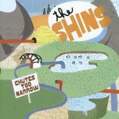 Pink Bullets - The Shins