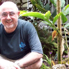 What are you thinking? Where are we going To? More Funk! ( No Vocals )