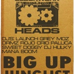 DRMZ - live at "Big Up Junglist" party (10.06.2011, oldschool happy hardcore / breakbeat hardcore)