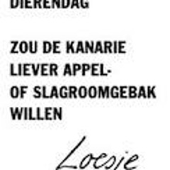 Dierendag: 18 ratten in huis