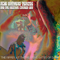 Acid Mother Temple - Chinese Flying Saucer