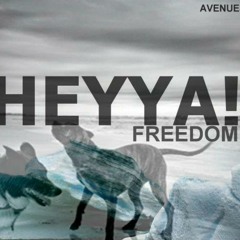 Heyya! - Freedom