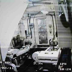 IMG_6502 "FOREST IS DEAD BASS (CHERRY)"