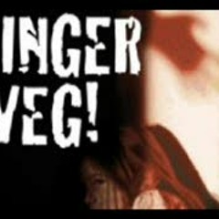 Ced und Gecko - Kinderspiel