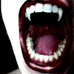 The S.H.i.T. -- Vampirates