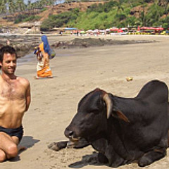 Yoga Dealer Live: When am I ready to go to Mysore, India