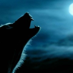 2010 Music Blog Zeitgeist Top 50 Songs mix - The Glitch Mob vs. The Hype Machine