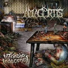Amagortis - 2 S.H.C.