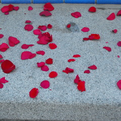 Levitate (sub_zero) Ft Ponzi remix!