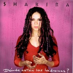 Moscas en la Casa (Shakira cover)