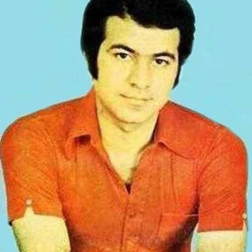 Naser Saboori-dokhtare hamsaye