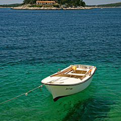 Foxy Lady Cover - Live