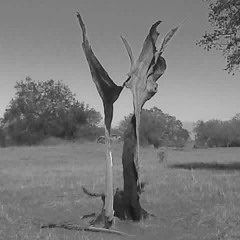 les espaces inhabités - le départ