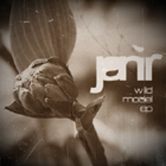 Jani R - Accepted (Wild Model EP - BPR008 2011)