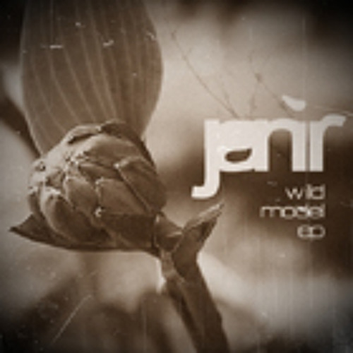 Jani R - Accepted (Wild Model EP - BPR008 2011)