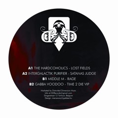 Lost Fields E.P. - DDR001 - 12" - !!!!OUT NOW!!!!