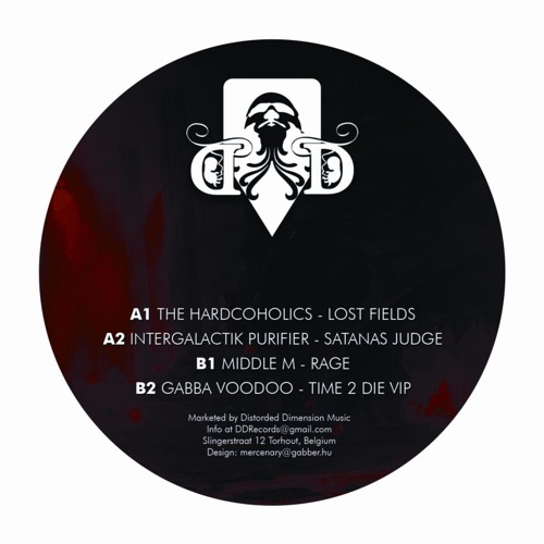 Lost Fields E.P. - DDR001 - 12" - !!!!OUT NOW!!!!