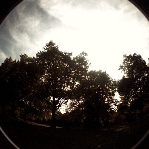 Autumn - Free Download
