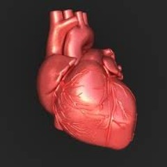 Heart Attack