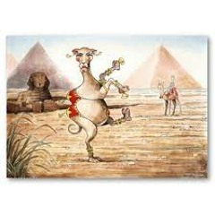 Dancing Camels